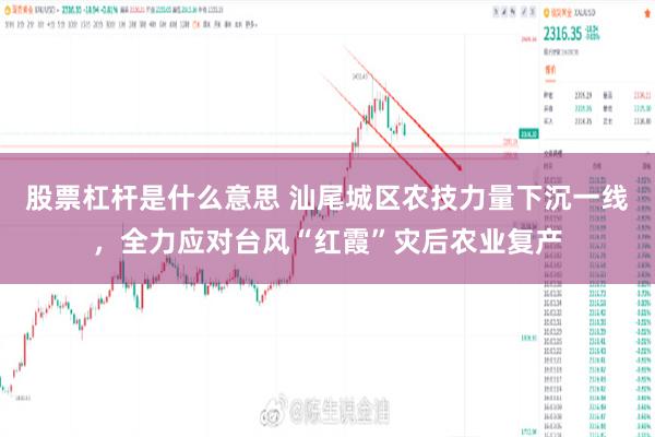 股票杠杆是什么意思 汕尾城区农技力量下沉一线，全力应对台风“红霞”灾后农业复产