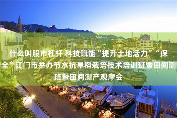 什么叫股市杠杆 科技赋能“提升土地活力”“保障粮食安全”江门市举办节水抗旱稻栽培技术培训班暨田间测产观摩会