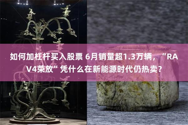 如何加杠杆买入股票 6月销量超1.3万辆,“RAV4荣放”凭什么在新能源时代仍热卖?