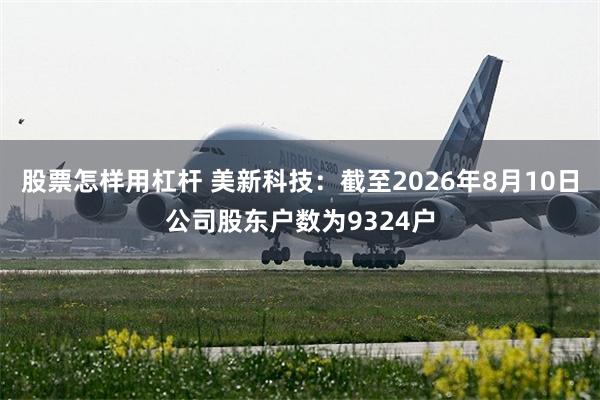 股票怎样用杠杆 美新科技：截至2026年8月10日公司股东户数为9324户