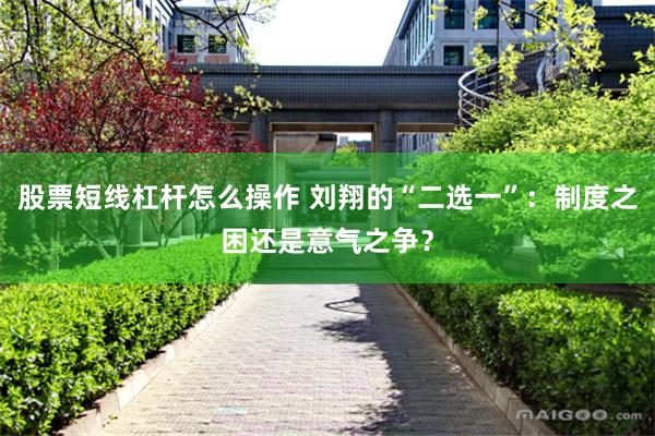 股票短线杠杆怎么操作 刘翔的“二选一”：制度之困还是意气之争？