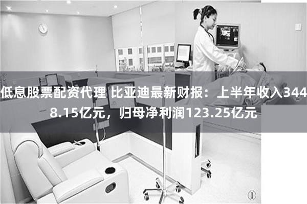 低息股票配资代理 比亚迪最新财报：上半年收入3448.15亿元，归母净利润123.25亿元