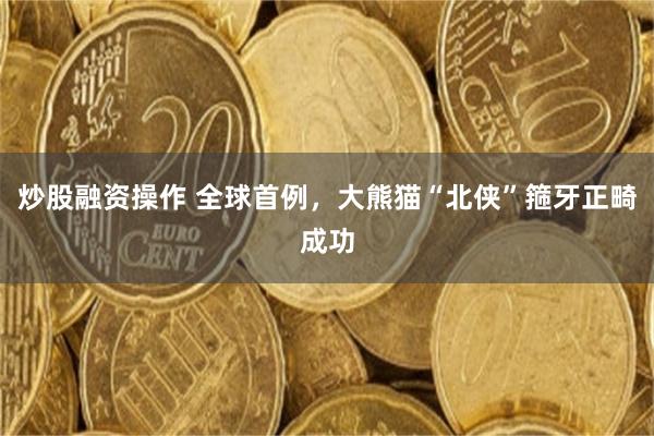炒股融资操作 全球首例，大熊猫“北侠”箍牙正畸成功