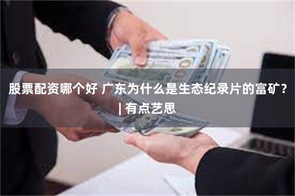 股票配资哪个好 广东为什么是生态纪录片的富矿？| 有点艺思