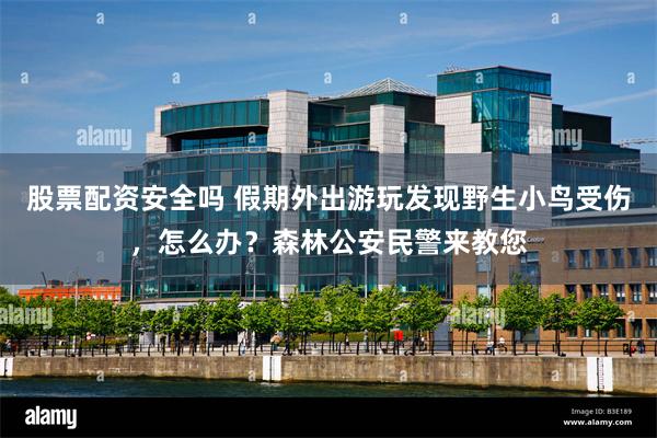 股票配资安全吗 假期外出游玩发现野生小鸟受伤，怎么办？森林公安民警来教您