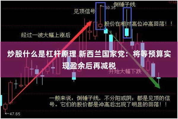 炒股什么是杠杆原理 新西兰国家党：将等预算实现盈余后再减税