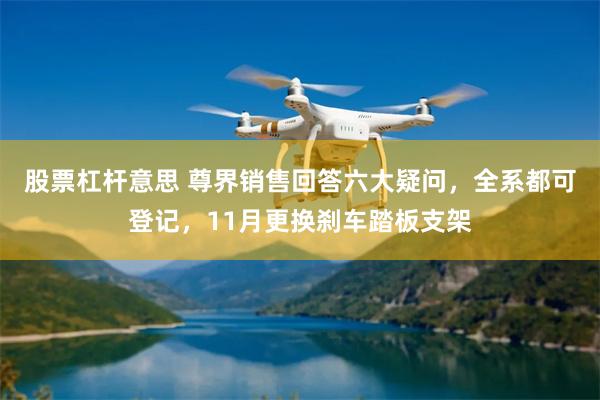 股票杠杆意思 尊界销售回答六大疑问，全系都可登记，11月更换刹车踏板支架