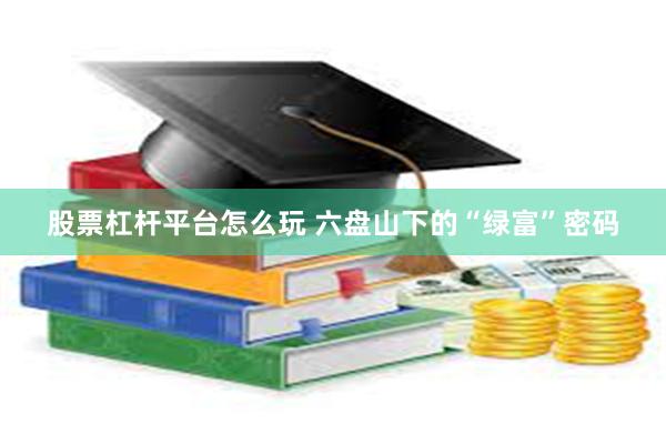 股票杠杆平台怎么玩 六盘山下的“绿富”密码